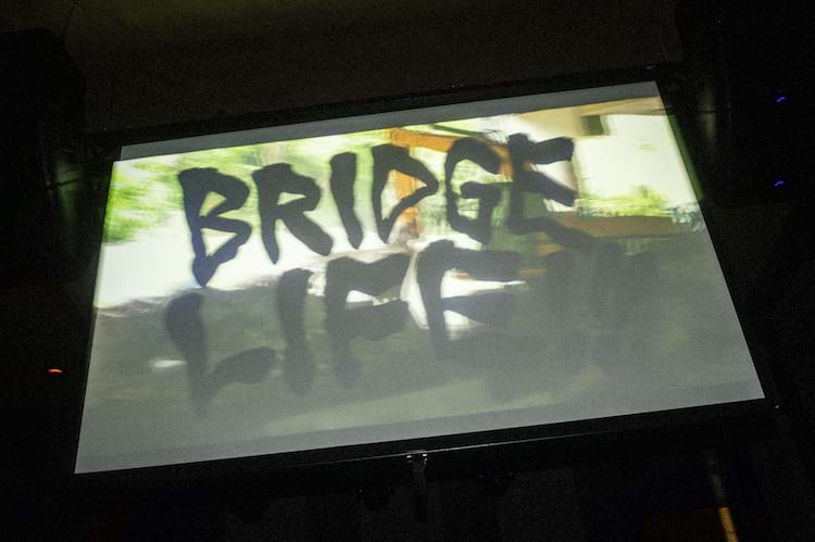 Bridge Life Premiere 30