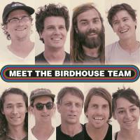 Meet the Birdhouse Team