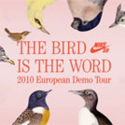 The Bird is the Word