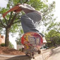 Collin Slew For Bones Bearings