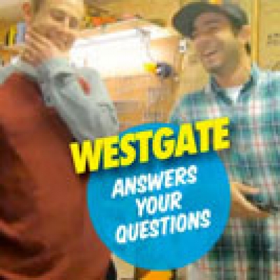 Westgate Answers Questions