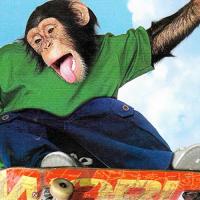 Cinema of Stoke: Skate Movies Reviewed