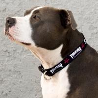 Thrasher Dog Collar