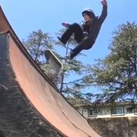 Daewon Skates Andalé Bearings