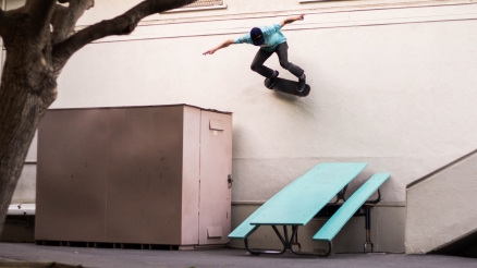 Steve Mull's "Rewild" Part